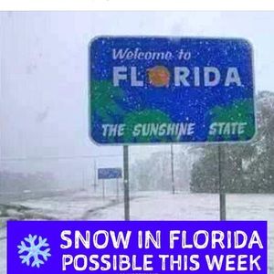 Meet your Posher, Caralyn